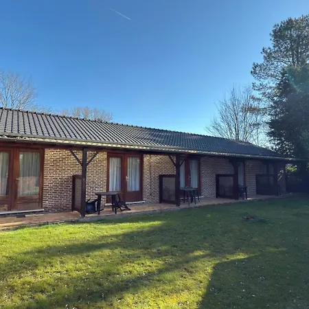 Rachel 17 * Mons (Bergen)